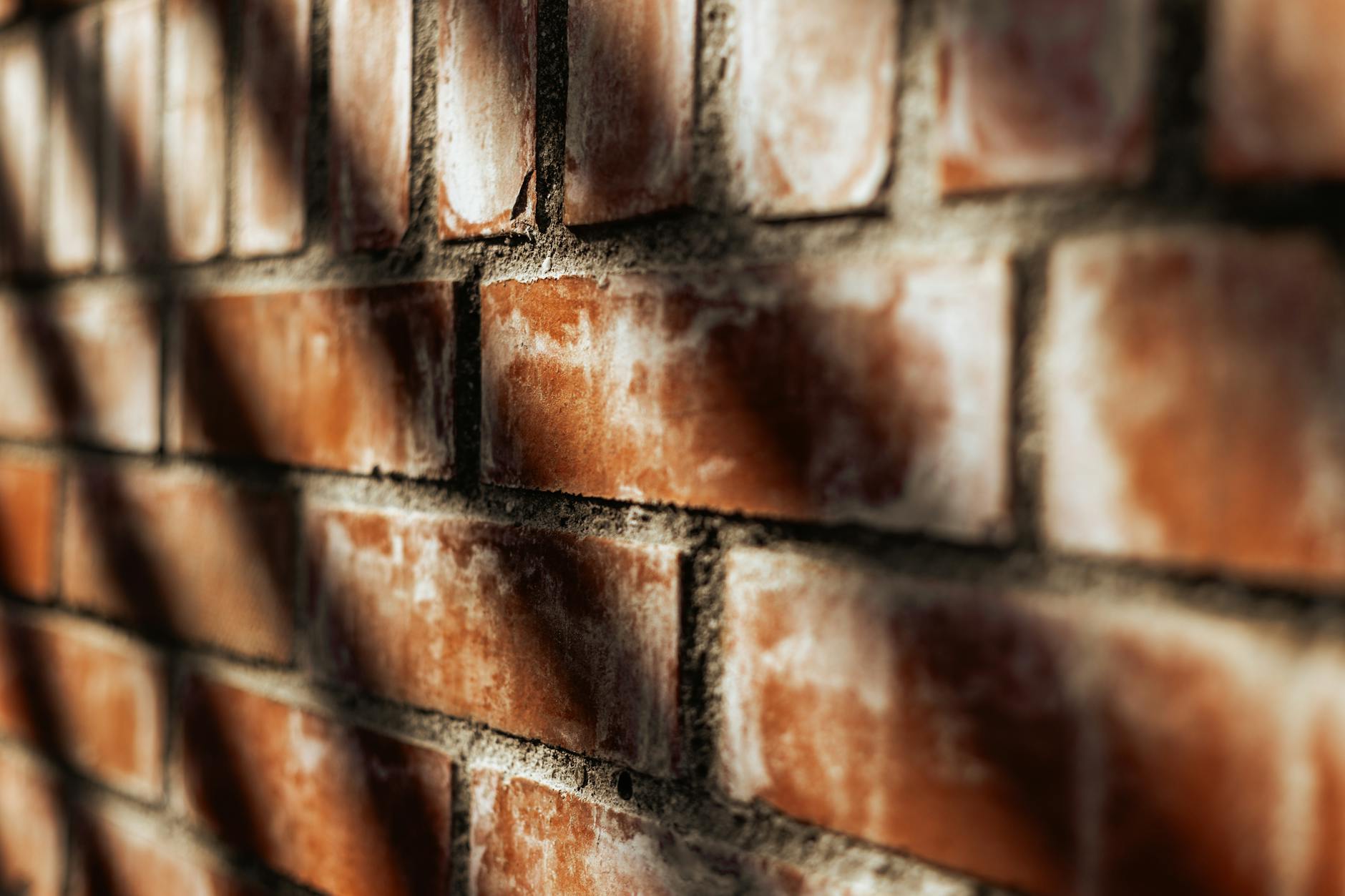 sunlit bricks wall